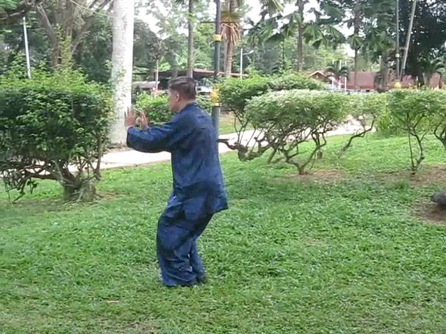 Wu Yu Xiang Style Taijiquan